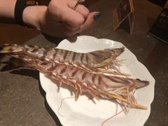 -橼舍鮨青木