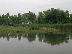 -金银湖国家城市湿地公园