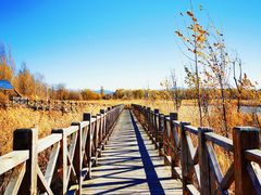 -野鸭湖国家湿地公园