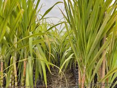 -汉长安城未央宫国家考古遗址公园