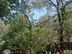 -北京麋鹿生态实验中心