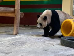 -杭州野生动物世界
