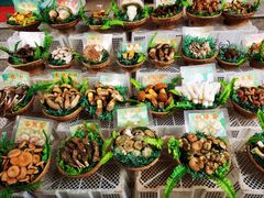 -佳缘野生菌食府