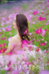 -金夫人婚纱摄影(总店)