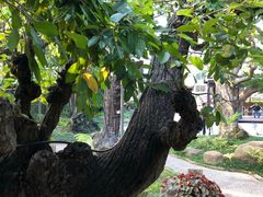 -Chom Cafe and Restaurant