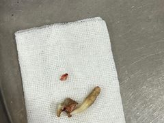 -宠颐生中康贝怡动物医院