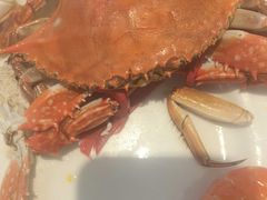-半岛听涛蒸汽海鲜自助(K11店)