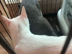 -iF摄影•全家福•证件照•形象照(南山店)