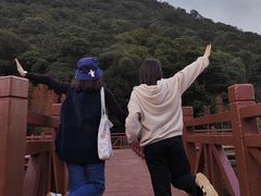 -广州市石门国家森林公园