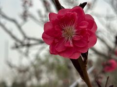 -北坞公园