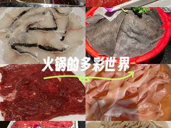 -红鼎坊·老成都火锅(新南门店)