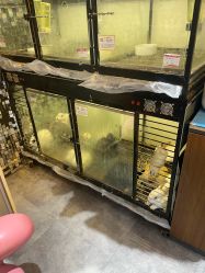 -神奇动物撸宠馆·羊驼·小浣熊·异宠(豫园店)