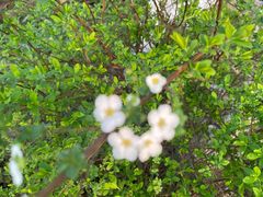 -浙江西子宾馆·瑶园咖啡厅