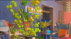 -花隐·美芙炫海菲秀皮肤管理中心