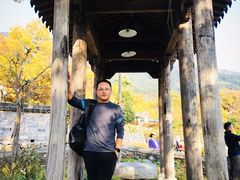 -塔川景区