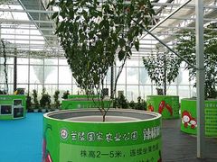 -兰陵国家农业公园