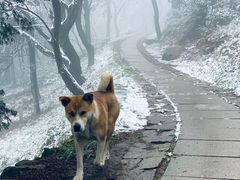 -莫干山风景区