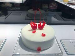 -BLACKSWAN黑天鹅(环球店)