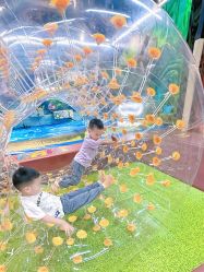 -卡通尼·Safari非洲探索乐园·生日会(金桥国际商业广场店)