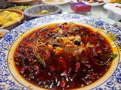 -院8里·小聚园老川菜(九眼桥店)