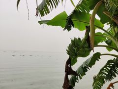 -呈贡滇池生态湿地公园