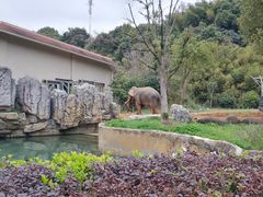 -宁波野生动物园