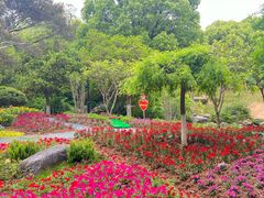 -白马涧龙池景区