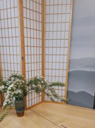 点击看大图 -宥莉·ULLY 痘敏肌•科技皮肤管理中心