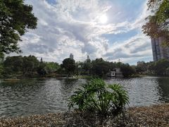 -晓港公园