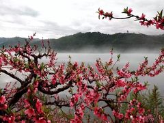 -河口景区
