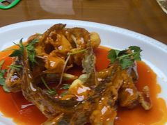 -鸿运美食府