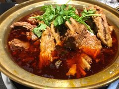 -友乐居羊蝎子(西直门店)