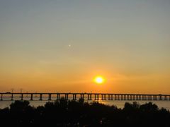 -宝安西湾红树林湿地公园