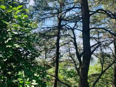 -敬亭山风景名胜区