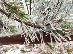 -塔云山
