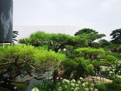 -罗红摄影艺术馆