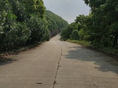 -平湖九龙山旅游度假区