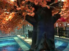 -寻梦盛唐主题水会(龙岗店)
