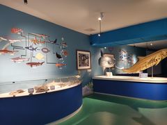 -烟台海昌鲸鲨海洋公园