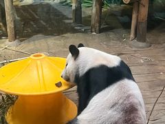 -深圳野生动物园