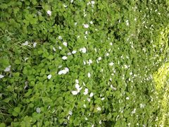 iphone_upload_pic-三锐体育游泳中心