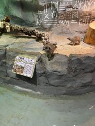 -Zoolung Zoolung动物主题公园(海信广场店)