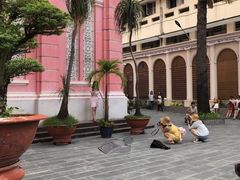-耶稣圣心堂
