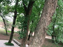 -采石矶景区