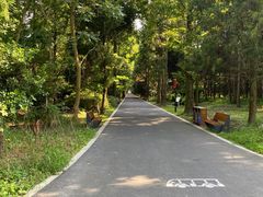 -东平国家森林公园