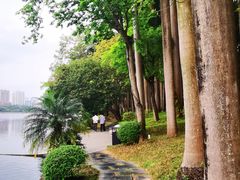 -南宁南湖公园