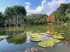 -中国科学院西双版纳热带植物园