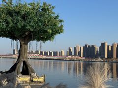 -咸阳湖景区