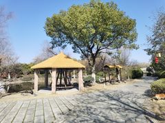 -东湖景区