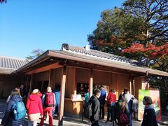 -豆政(金閣寺境内売店)